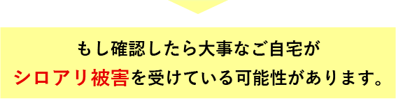 シロアリ被害を受けている可能性があります